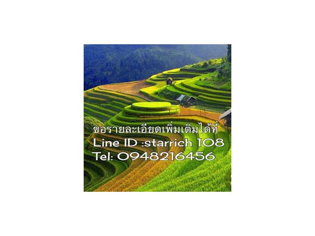 ขายที่ดิน200ไร่  ติดถนนทางหลวงชนบท ปท.3014 กม.4  พื้นที่สีเขียว  หน้ากว้าง 412ม.  ต.บ่อเงิน อ.ลาดหลุมแก้ว จ.ปทุมธานี