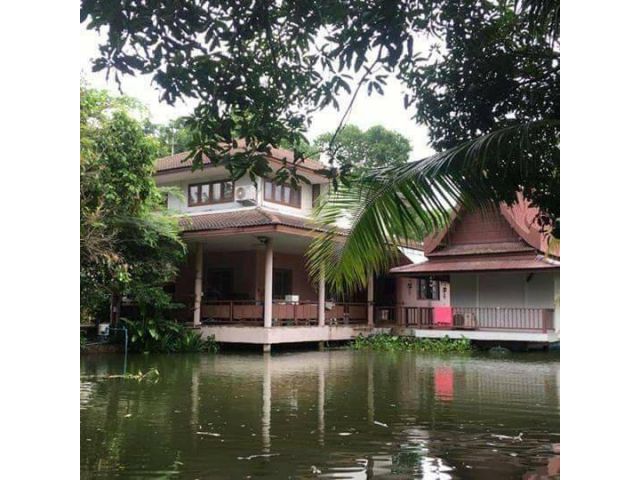 ขายบ้านพร้อมอยู่พร้อมที่ดิน บ้าน 2 หลัง ที่ดิน 2 ไร่ จังหวัด สระบุรี อำเภอ หนองแค ตำบล หนองโรง