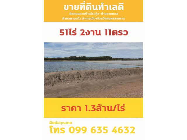 ขายถูกที่แปลงสวย  ขายที่ดินทำเลดี ติดถนนสายบ้านโรงกุ้ง-บ้านชายทะเล