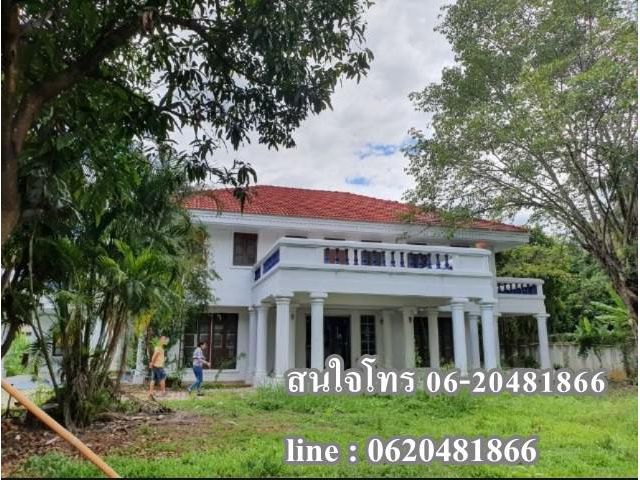 T00031ให้เช่าบ้านพร้อมที่ดินแถวเซ็ลทรัลแอร์พอร์ต