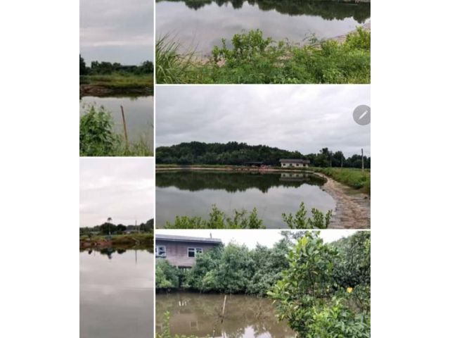 ที่ดินพร้อมติดแม่น้ำประแสร์ บรรยากาศดี