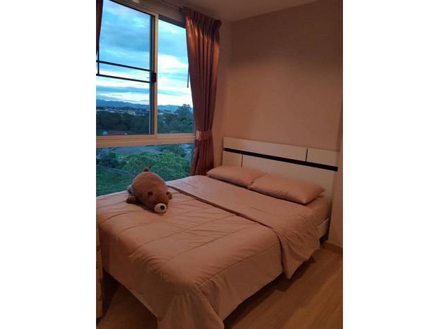 For Rent One  plus Condoโครงการบิสสิเนสปาร์ค ชั้น7