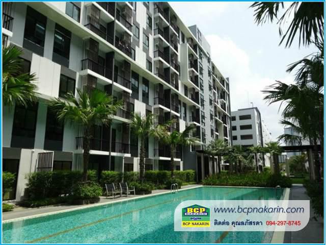 ขาย หรือ ให้เช่า I Condo สุขุมวิท 105 พร้อมเข้าอยู่ 31.07 ตร.ม. เฟอร์นิเจอร์ครบ - 001900