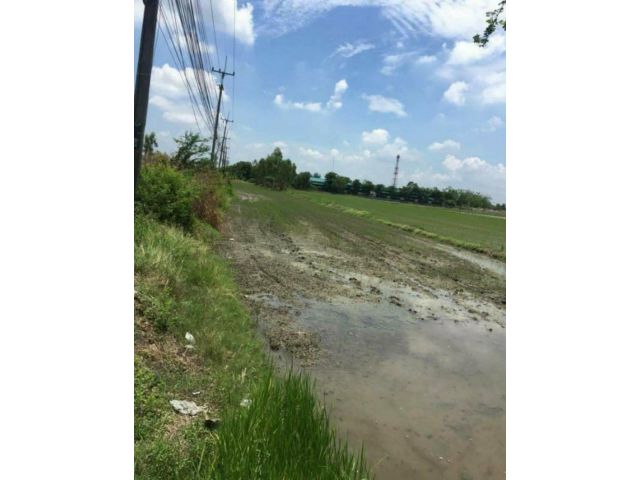 ขายที่ดิน40ไร่ อำเภอธัญบุรี คลองสิบ