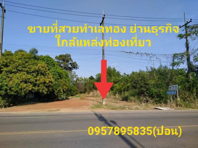 #ขายที่ดินทำเลทอง ย่านธุรกิจใกล้แหล่งท่องเที่ยว#เนื้อที่ 3 งาน 82 ตารางวา ต.กร่ำ อ.แกลง จ.ระยอง ราคา 6,800,000 บาท ฟรีโอน