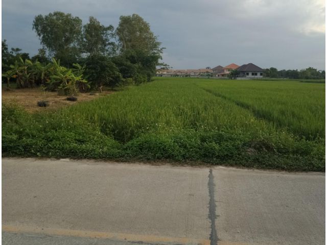 ที่นาสันปูเลย อ.ดอยสะเก็ด