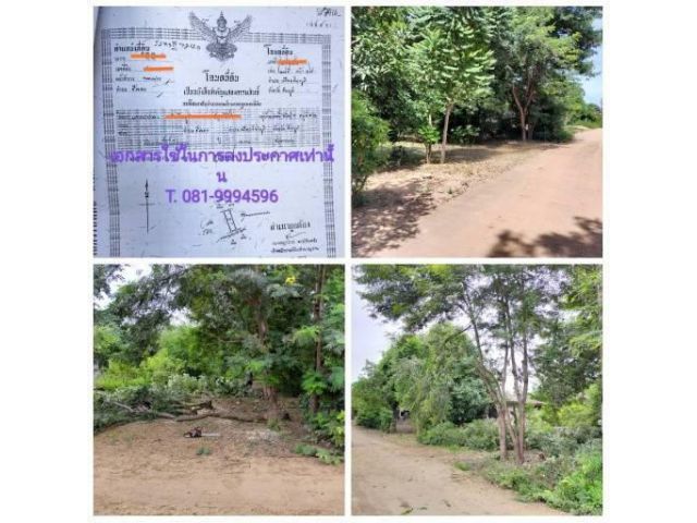 ขายที่ดิน บ้านหนองหว้า ตำบลชีลอง อำเภอเมืองชัยภูมิ ฟรีค่าโอน