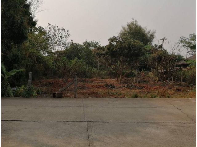 ที่ดินเปล่า ดอนแก้ว อ.สารภี