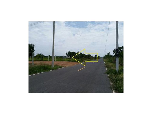 ขายที่ดินติดถนนลาดยาง คลอง 11 หนองเสือ 200 ตรว