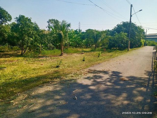 ให้เช่าที่ดินเปล่า 1 งาน 400 ตรม.ติดถนน น้ำไฟเข้าถึง ต.นาดี สมุทรสาคร ค่าเช่าถูก