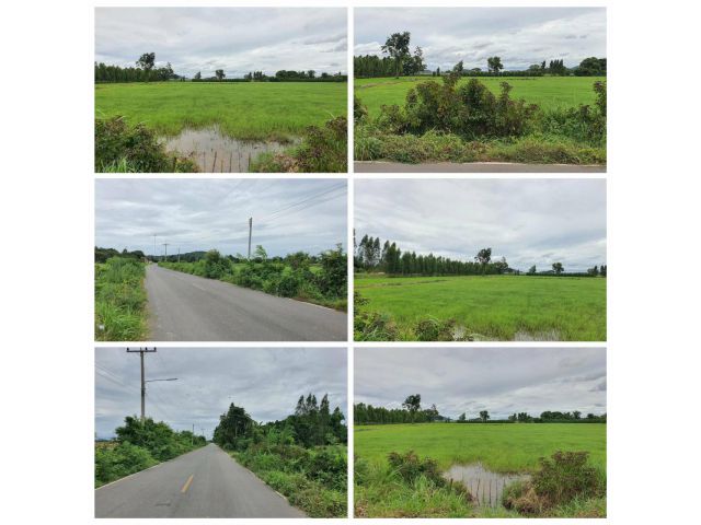 ที่ดินราคาถูก เนื้อที่ 10ไร่ ที่โฉนด น้ำไฟพร้อม ติดถนนสายหลักหมายเลข 3201