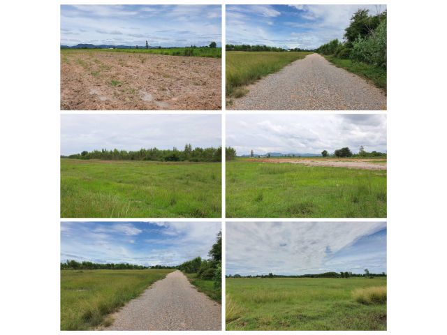 ที่ดินราบสวยสี่เหลี่ยม เนื้อที่ 2ไร่ ที่โฉนด อยู่ในแหล่งชุมชน บรรยากาศดี