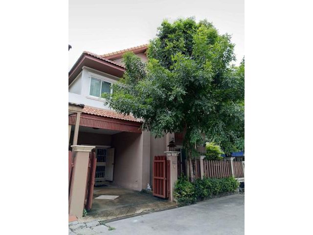 รหัสทรัพย์ B2073 ให้เช่า บ้านแฝด ปิ่นเกล้า-ราชพฤกษ์
