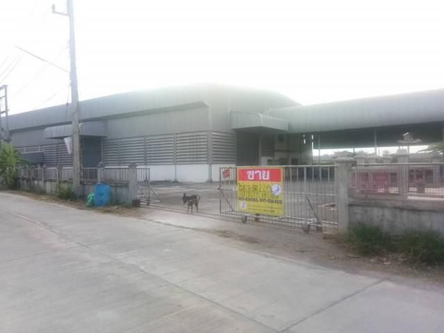 ขายโรงงานพร้อม ที่ดิน 2-2-49ไร่  ต.พานทอง อ.พานทอง จ.ชลบุรี