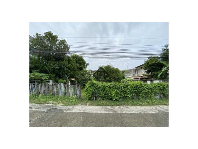 ที่ดิน ลาดพร้าว 100 ตร.วา เหมาะอยู่อาศัย ออฟฟิศ