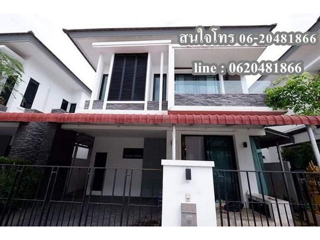 T00089ให้เช่า พิลโล่ Pillow 142