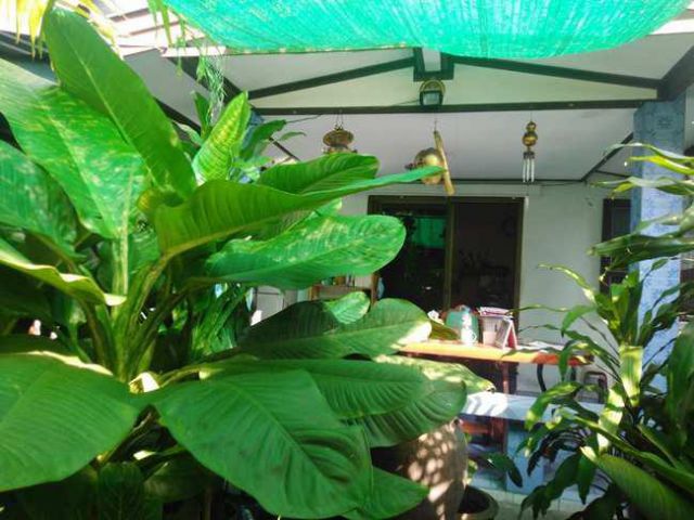 บ้านชั้นเดียว 60 ตรว. ม.ทุ่งเศรษฐี พร้อมกิจการ