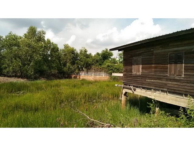 ขายที่ สวนมะนาว 1-0-58 ไร่ พร้อมบ้าน จ.อยุธยา