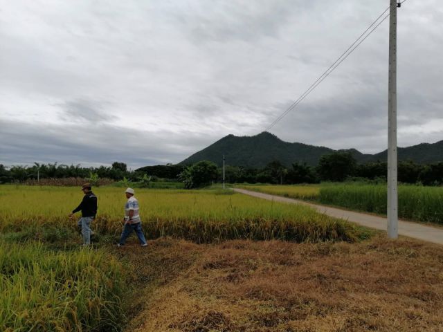ขายที่ดินสวยๆสำหรับสร้างบ้านทำที่พักตากอากาศ โฉนด 2 ไร่ครึ่ง อ.เชียงคาน