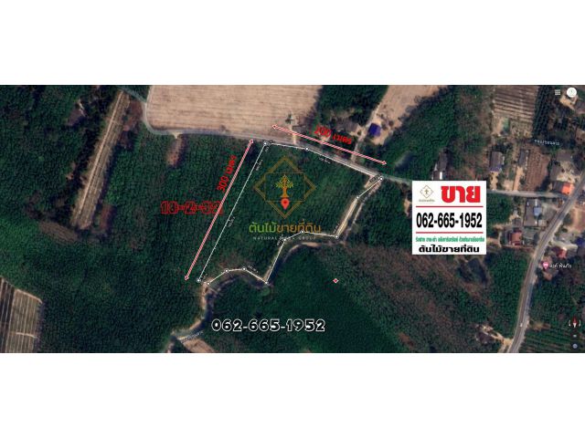 ขายที่ดิน เนื้อที่ 18ไร่-2งาน-32 ตรว. ต.หนองบัว อ.บ้านค่าย จ.ระยอง หน้ากว้าง 200เมตร ติดถนน ลึก 300เมตร ห่างจาก นิคมอุตส