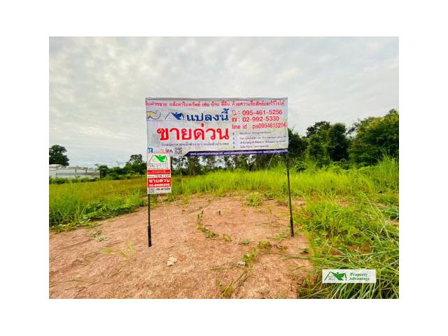 ที่ดิน7–3-3ไร่ ต.เชียงหวาง อ.เพ็ญ จ.อุดรธานี