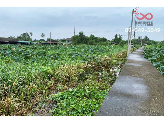 ขายที่ดินติดแม่น้ำเจ้าพระยา 4ไร่ 2งาน ท่าอิฐ นนทบุรี