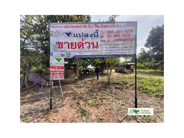 ที่ดิน23-0-38ไร่ จันทบเพชร อ.บ้านกรวด บุรีรัมย์