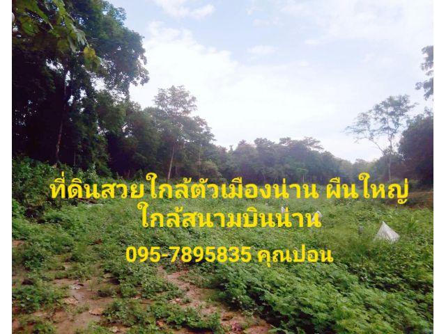 #ขายที่ดินสวยผืนใหญ่ใกล้ตัวเมืองน่าน ราคาถูก#เนื้อที่ 17-1-57ไร่ ต.ไชยสถาน อ.เมืองน่าน จ.น่าน