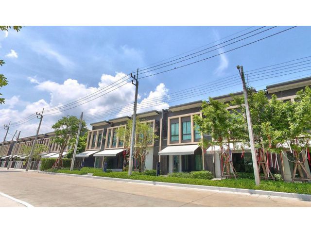 ให้เช่า พลีโน่ สุขุมวิท-บางนา กม.7 (Pleno Sukhumvit-Bangna )