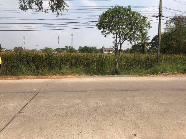 ขายที่ดิน 1 ไร่ ถนนฉลองกรุง ลำผักชี หนองจอก กทม. ราคาถูก