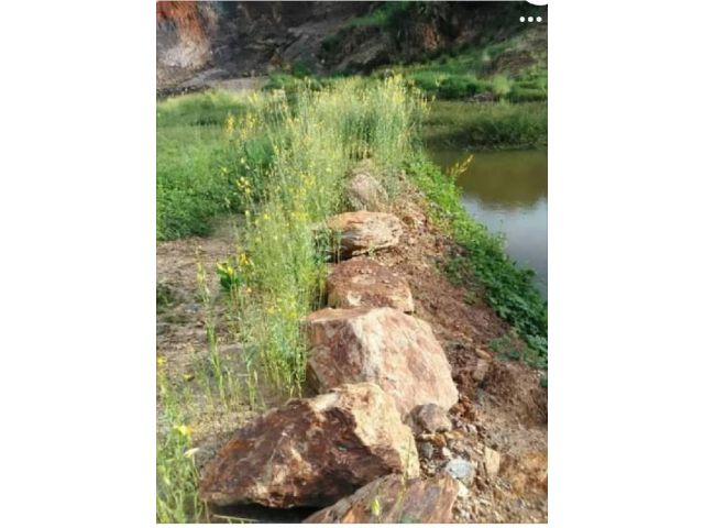 ที่ดินวิวธรรมชาติกลางเมือง