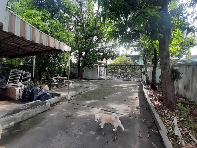 ที่ดิน 99 ตรว. หมู่บ้านมิตรภาพ 2 ซ.อ่อนนุช 46