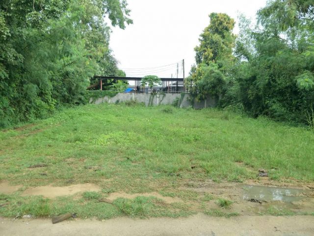 L1318PT ขายถูก ที่ดินเปล่าแปลงสวย ใกล้แยกบ่อสร้าง