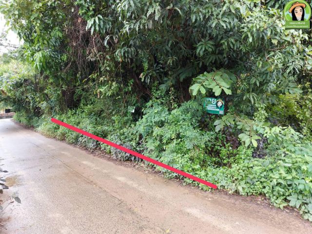ที่ดินเปล่า 100 ตร.ว. โซนบ้านปลาดุก
