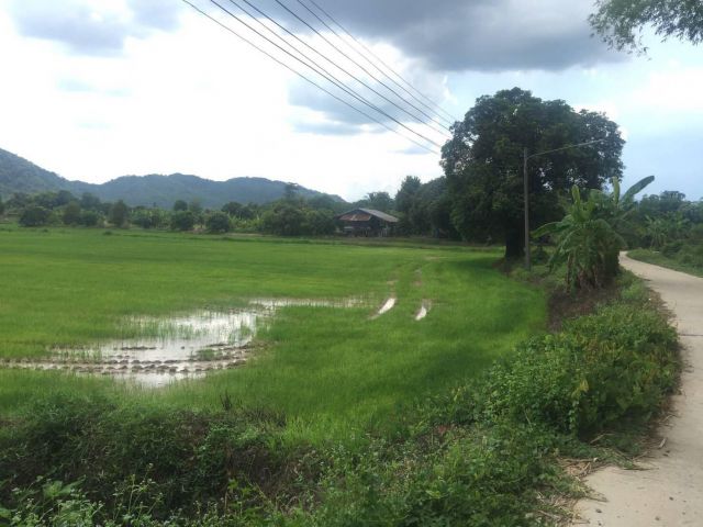 ขายที่ดิน 388 ตร.ว. นครนายก