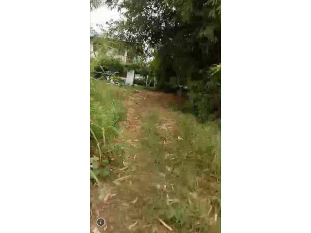 ที่ดิน 274 ตรว. อ.ด่านมะขามเตี๊ย จ.กาญจนบุรี