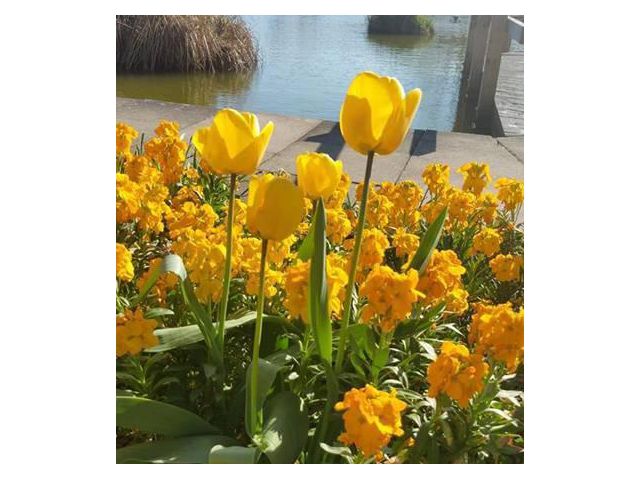 สนใจฝากขายบ้าน ที่ดิน บ้านสวน ใกล้ไกล ทะเล อสังหาทั่วไทย ติดต่อ 0897881243 ปรึกษาฟรีค่ะ