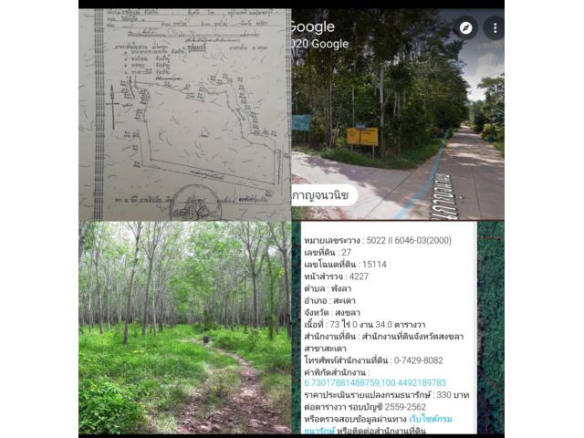 ขายที่ดินสวนยางพังลาใกล้ถนนกาญจนวนิช 73 ไร่ 34 ตารางวา ขายไร่ละ 380,000บาท