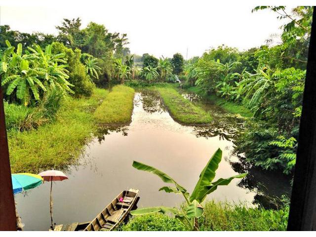 ขายที่ดิน 1-0-74 ไร่ บางใหญ่ พร้อมบ้านไม้ ยกสูง