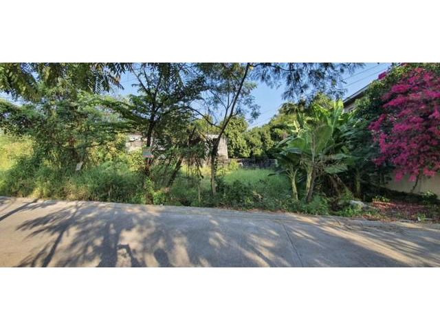 ขายที่ดินแปลงสวย 64 ตารางวา คู้บอน31แขวง รามอินทรา