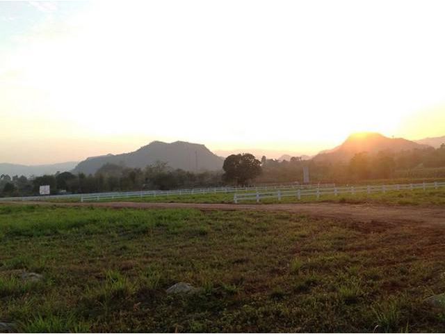 ขายที่ดินแปลงสวย 5ไร่ ต.หมูสี ปากช่อง นครราชสีมา