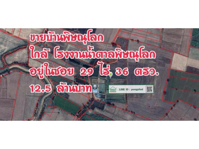 > ขายบ้านพิษณุโลก ใกล้โรงงานน้ำตาลพิษณุโลก 29 ไร่ 36 ตรว.