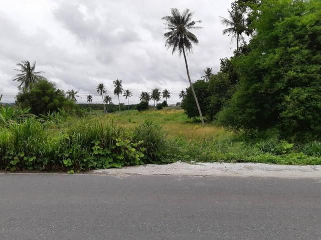 ขายที่ดิน   ซอย 11อำเภอนิคมพัฒนา ระยอง