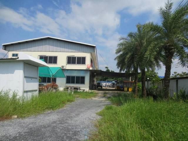 โรงงาน 3 ไร่ มีใบอนุญาต ร.ง.4 พร้อมบ้านพักคนงาน
