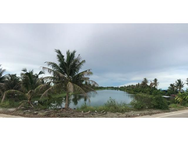 ขายที่ดินแปลงสวย ที่ดินราคาถูก 20 ไร่ สมุทรปราการ