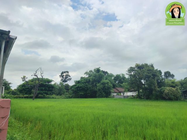 ที่นาใกล้เมือง  1 ไร่กว่า  บ้านนาอุดม/ซอยข้างศูนย์ MG