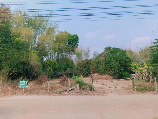 ที่ดินทำเลดีโซนหลัง รพ.ตระการพืชผล  ราคา 700,000 บาท