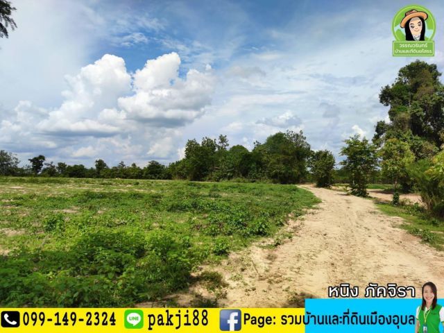 ที่ดินเพื่อการเกษตร อ.สว่างวีระวงศ์