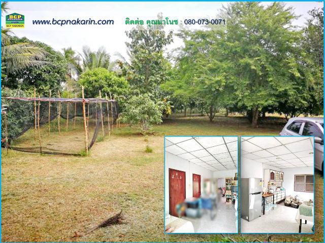 ขายที่ดิน 416 ตร.ว. พร้อมบ้าน ถนนดอนเหียง-บ้านไร่โค้ง อ.เมือง จ.ประจวบคีรีขันธ์ - 001904