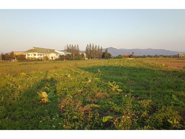 ที่ดินเปล่า เมืองแกน อ.แม่แตง